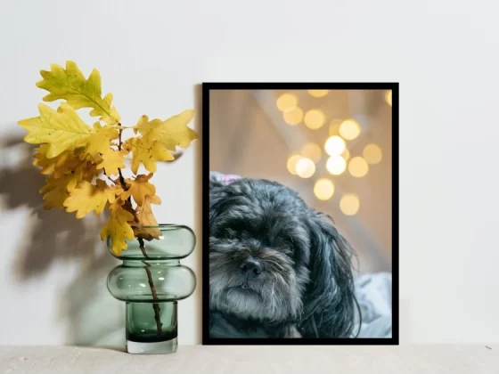 Top 8 Digital Photo Frames That Make Memories Shine